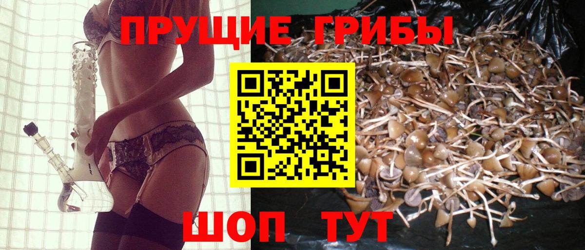 Менделеевск  Галлюциногенные грибы мицелий  Вход с VPN 