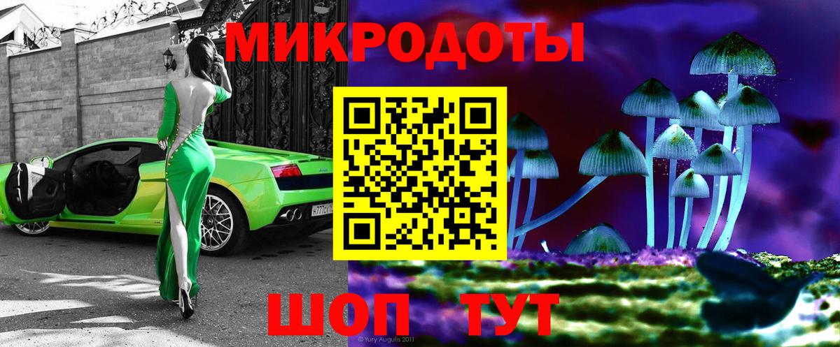 Галлюциногенные грибы Psilocybine cubensis Менделеевск